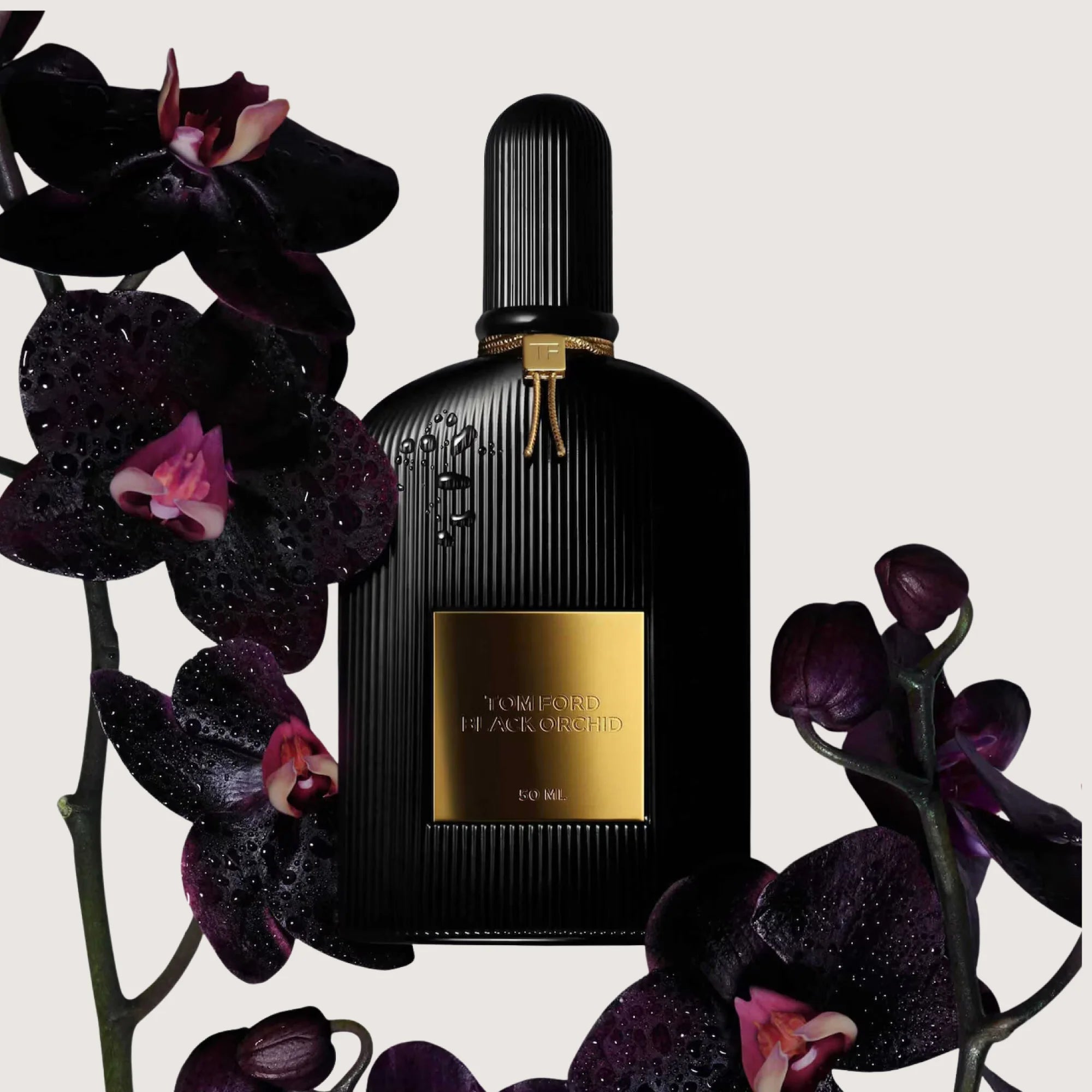 TF BLACK ORCHID EDP 100ML