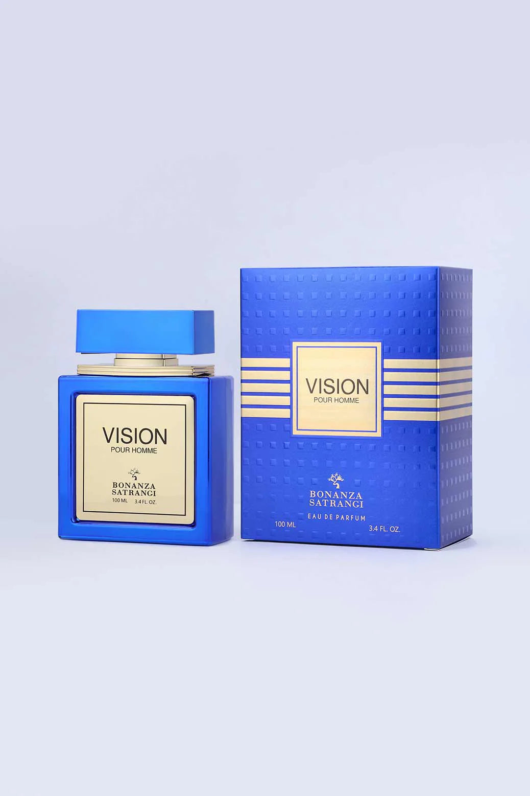Vision