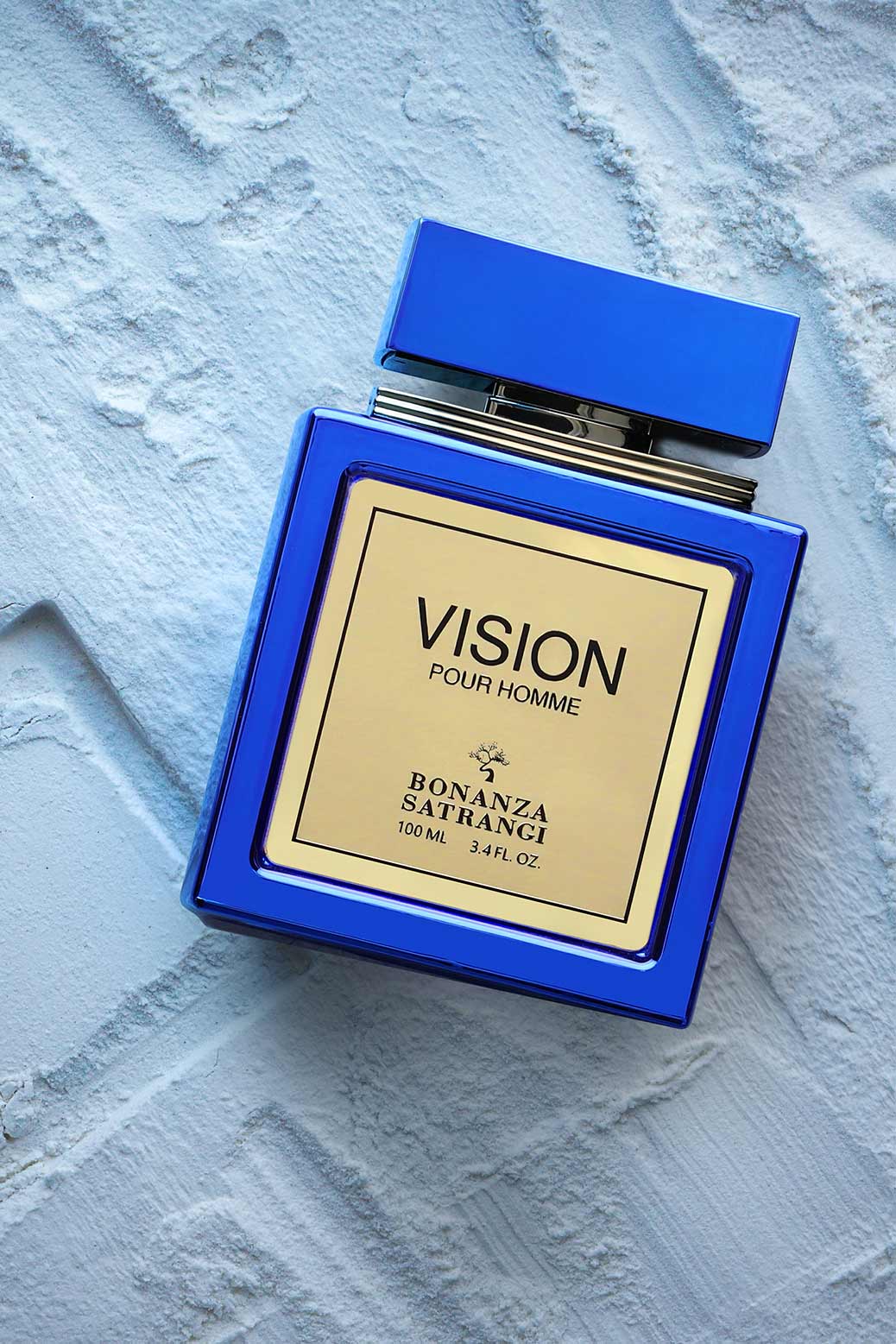 Vision