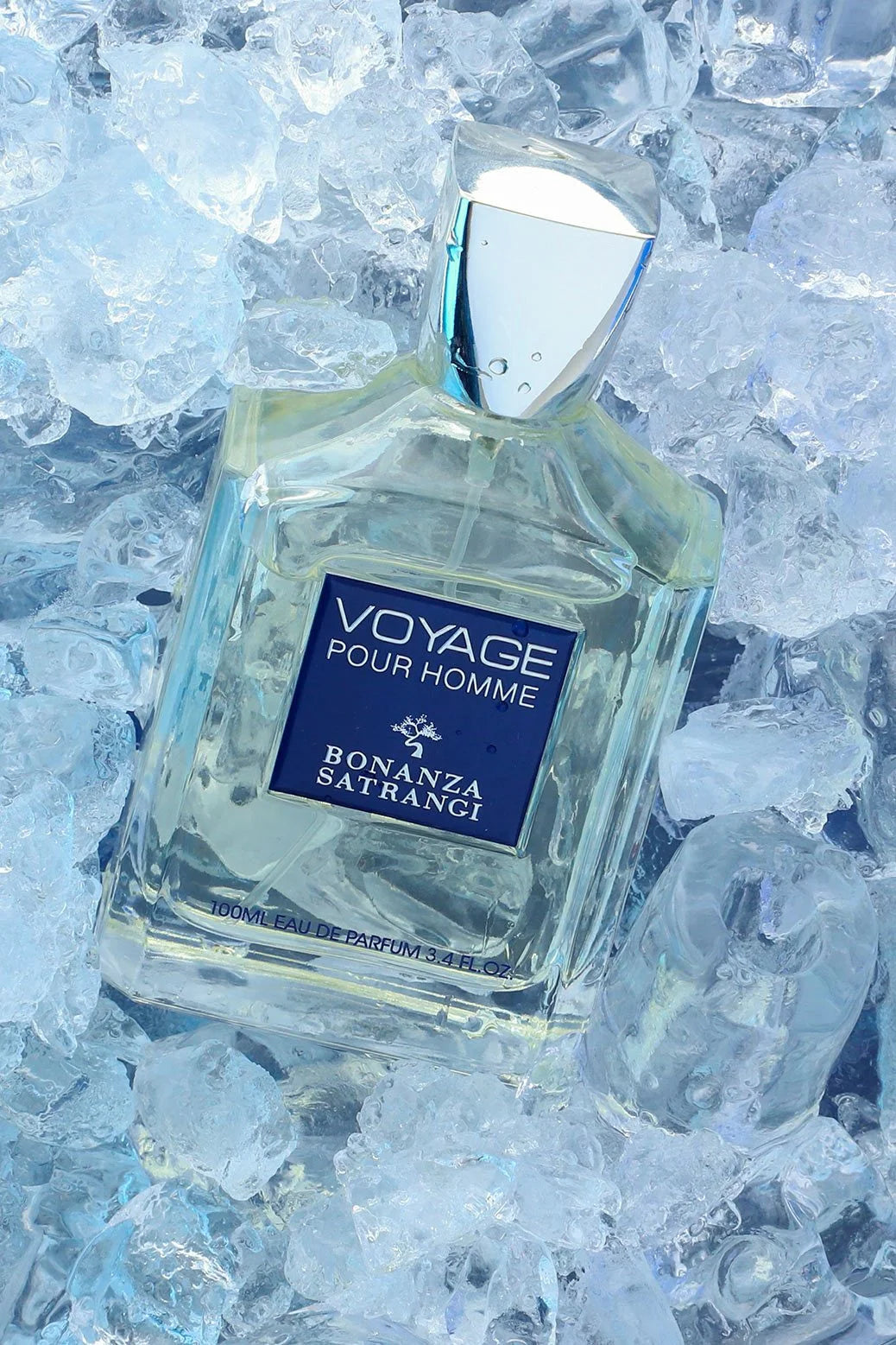 Voyage